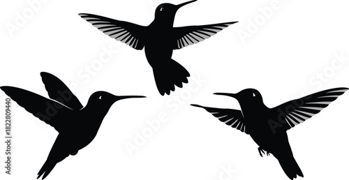 Three black hummingbirds in flight with grey wing details flying silhouette