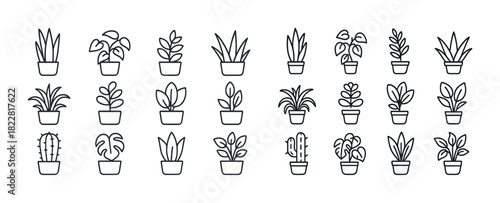 Collection of potted plant line drawings featuring various indoor houseplants