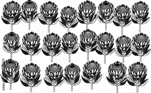 Protea flower pattern, botanical illustration, seamless grid design, black blue motif, textile art, floral symmetry, decorative nature, elegant wallpaper