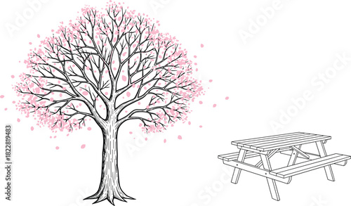Vector illustration of a blooming cherry blossom tree shedding pink petals next to a wooden picnic table, representing spring, nature, outdoor dining, and relaxation