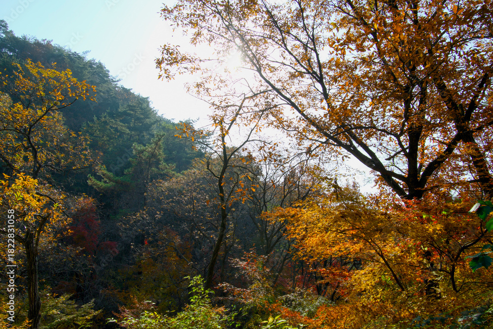 Fototapeta premium The middle of a mountain that feels like autumn