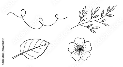 Elegant botanical line art elements blossom with organic beauty and natural grace for fresh designs