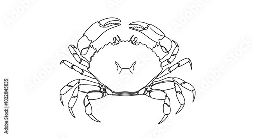 Detailed crab line drawing, ready for coloring book pages and educational marine illustrations