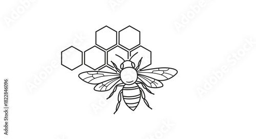 Elegant bee illustration for honey products, nature brands, or eco-friendly business designs
