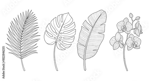 Exotic botanical line art collection features tropical leaves and delicate orchids for elegant designs