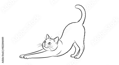 Adorable cat stretching gracefully, perfect for pet lovers and whimsical designs, originally vector