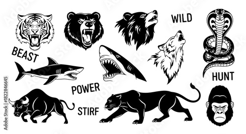 Ferocious Wild Animal Set Tiger Bear Wolf Shark Snake Panther Bull Gorilla Vector Graphics for Tattoos and Designs