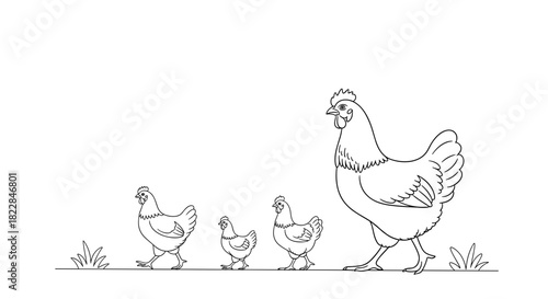 Charming hen and chicks line drawing, playful farm animal illustration for children's books