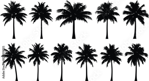 Set of black silhouette palm tree vectors with lush fronds and detailed trunks, perfect tropical nature illustration for summer vacation, travel poster, and beach design.