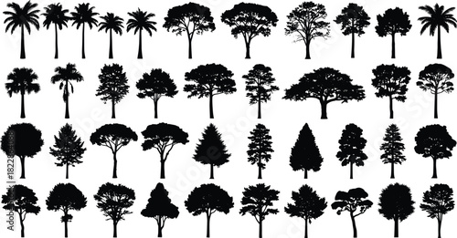 Silhouettes of various tropical, deciduous, and coniferous trees and shrubs for architectural landscaping plan vector set, isolated on white background for design asset.