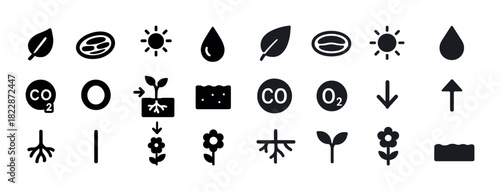Black and white plant growth icons: roots, leaves, water, co2, sun symbols
