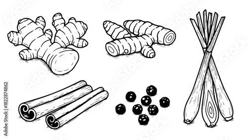 A collection of hand-drawn spices and herbs including ginger, turmeric, lemongrass, cinnamon, and peppercorns isolated on a white background.