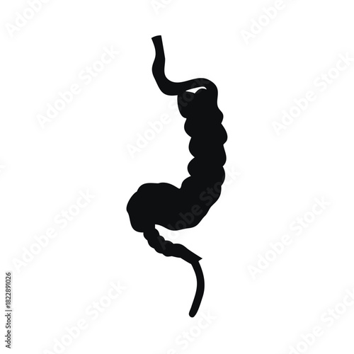 Black silhouette of the human digestive system against a white background.