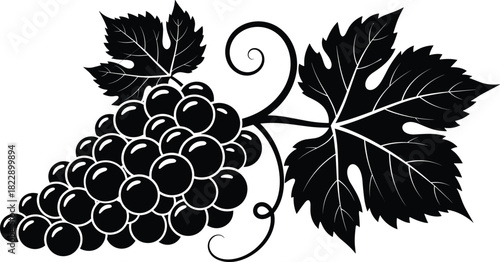 Black and white grape illustration, vine leaves, stylized fruit cluster, decorative botanical artwork, vineyard theme, glossy grapes, elegant design