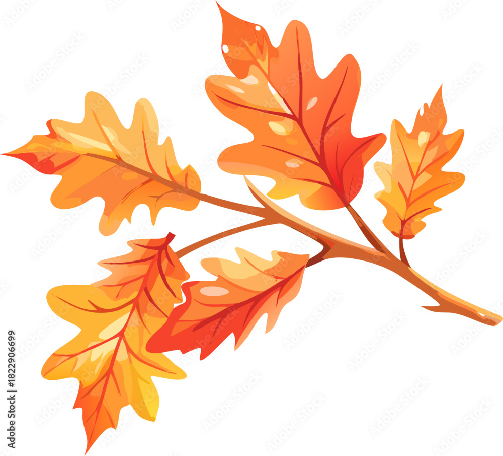 Fototapeta premium Autumn Oak Leaves Botanical Vector