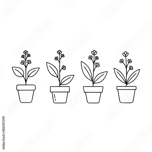 Charming potted herbs ideal for minimalist design or botanical illustration, perfect for adding a touch of nature to any creative project now