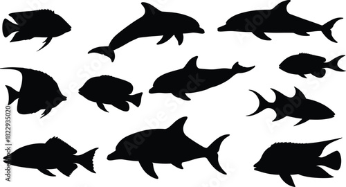 Fish and dolphin silhouettes collection isolated on white background, marine life illustration, underwater sea animals vector design, aquatic wildlife art.