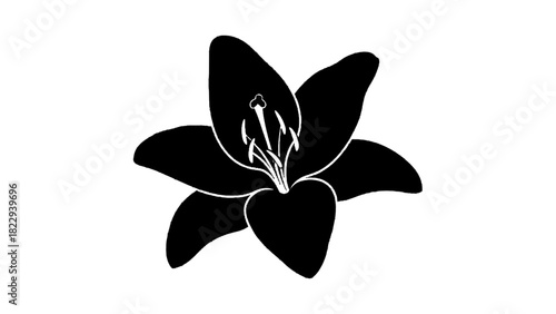 Vector illustration of black and white silhouette graphic of a lily flower with detailed stamen and pistil isolated on transparent background