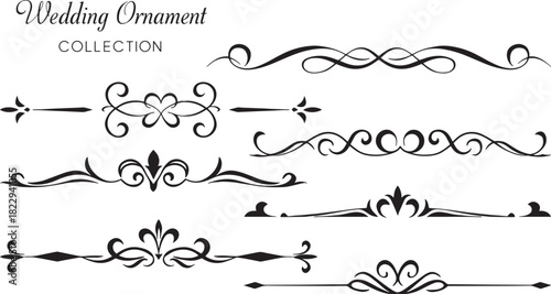 Elegant wedding ornament vector set with vintage flourishes, decorative dividers, swirls and floral elements