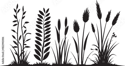 Wild grass and plant silhouette vector set with leaves, reeds, meadow stems and natural botanical elements