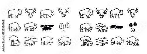 Bison icons: various poses and scenarios in simple line art