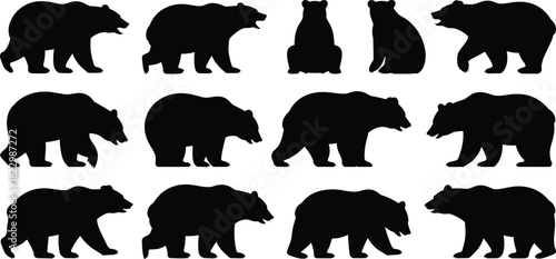Set of twelve bear silhouettes in varied poses, walking, sitting, standing, wildlife icon, animal shape, nature illustration