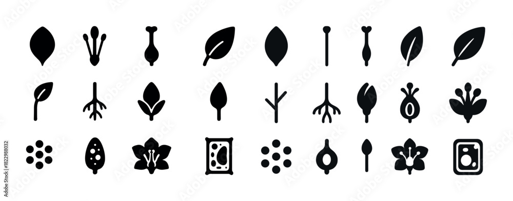 Obraz premium Various plant icons: leaves, flowers, seeds, and stems in black silhouettes
