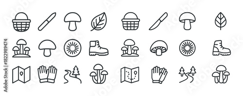 Outdoor adventure icons: mushroom, forest trail, camping gear, nature elements