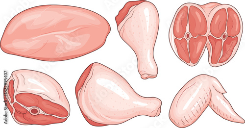 Raw Meat Cuts Set - Chicken, Steak, and Drumstick Illustration