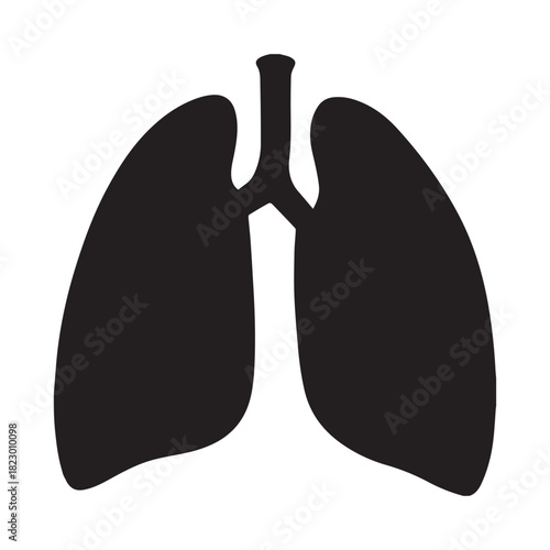 Human lungs vector icon.