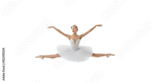 Ballerina dance ballet dancer dancing ballet shoes artistic pose performance stage elegance tutu flexibility on transparent background