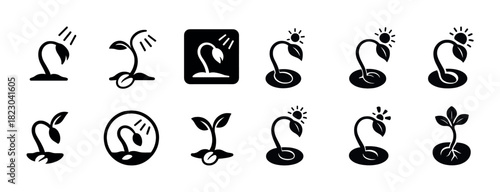 Growth stages of a plant: seedling to mature bloom icons