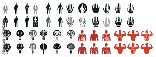 Human silhouettes: men, women, hands, brains, muscles icons set