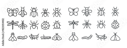 Outline illustrations of insects: butterflies, bees, ants, dragonflies, ladybugs, caterpillars