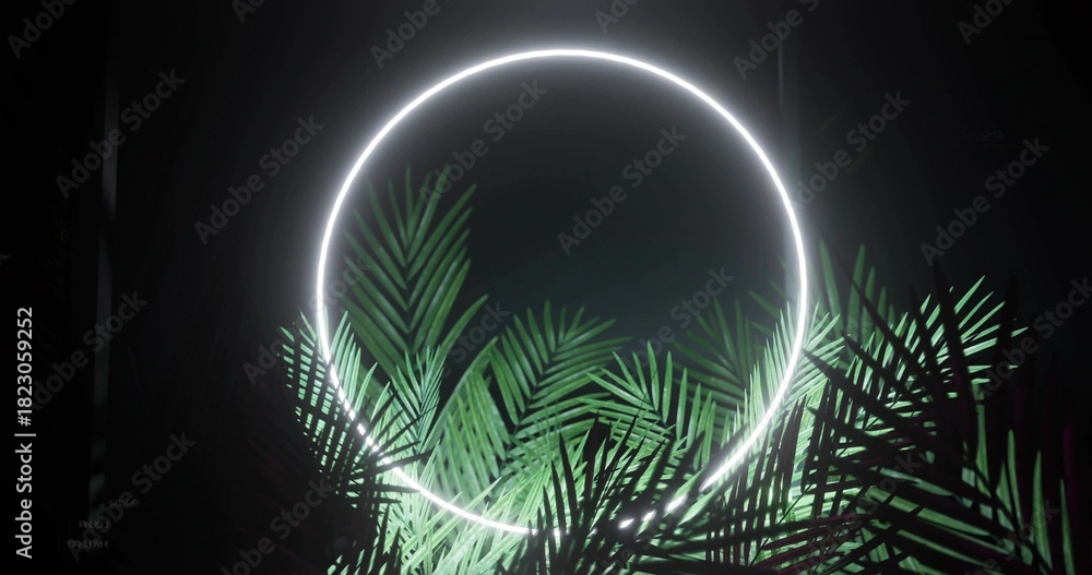Obraz premium Glowing white neon ring hovering in dim gallery, lighting green palm fronds with haze
