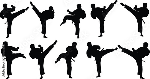 Martial arts silhouettes performing karate and taekwondo kicks, athletes in action poses, combat sport illustration, fitness training design, vector artwork collection