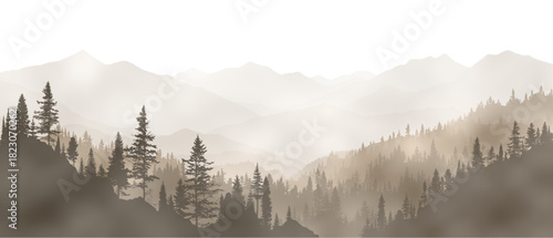 Sunrise in the mountains, landscape in sepia tones, monochrome, wild forest, valley in the fog, vector illustration