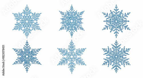 Six detailed, blue snowflakes in varying designs are displayed against a white background. Each snowflake features intricate, symmetrical patterns.