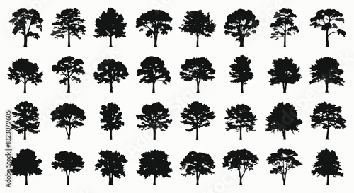 A collection of tree silhouettes against a white background, arranged in rows. Black and white illustration showing varied tree shapes.