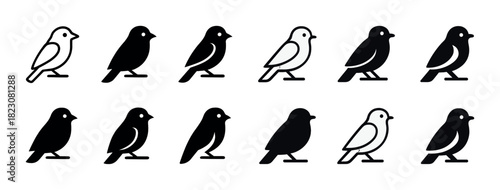 Set of twelve bird icons in black and white