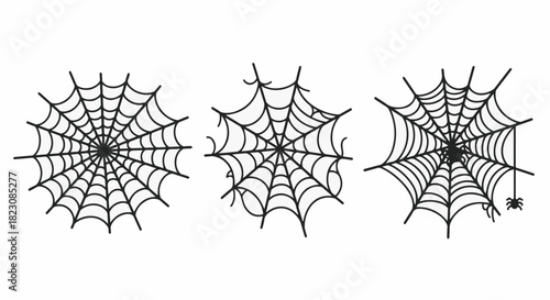 Three vector illustrations of spiderwebs are displayed. The spiderweb on the right has a tiny spider hanging from it. Black lines on white background.