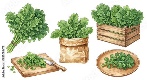 Watercolor-style illustration of kale in various presentations: bunched, in a bag, in a wooden crate, chopped on a cutting board, and on a wooden plate.