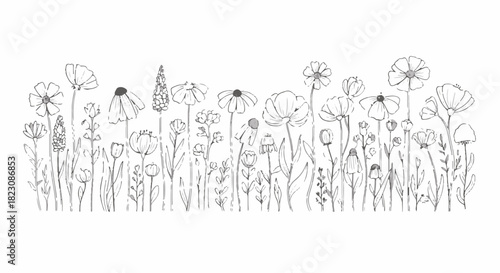 Black and white line drawing of various wildflowers. Simple, elegant botanical illustration. Ideal for coloring books or graphic design elements.