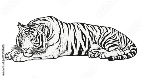 A black and white illustration of a tiger lying down, looking relaxed, with distinct stripes and detailed features.