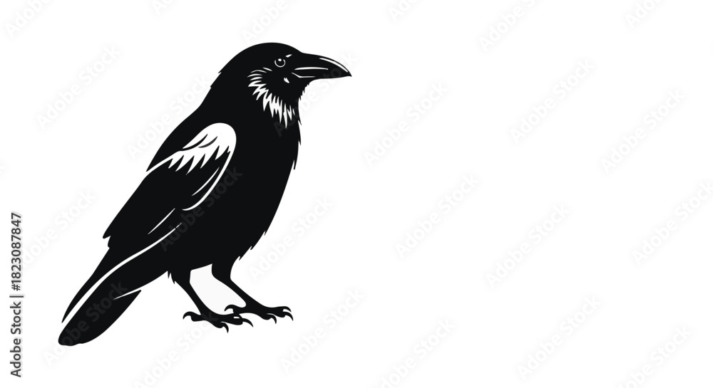 Obraz premium A black silhouette of a raven or crow, standing in profile against a white background. It's a vector illustration, likely used as a logo or graphic element.