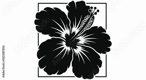 Black and white illustration of a hibiscus flower inside a square frame. The flower is the focal point, detailed with visible stamen.