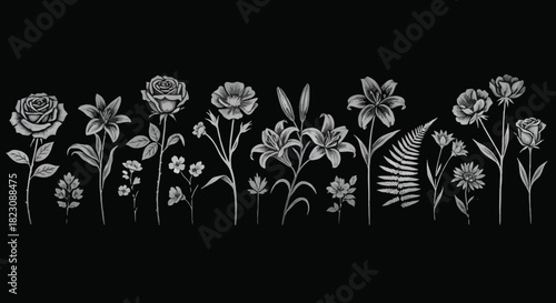 A row of stylized, grayscale floral illustrations (roses, lilies, ferns and daisies) against a stark black background. Delicate linework emphasizes details.