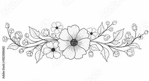 Elegant floral line art illustration. Features blooming flowers, buds, and leaves arranged in a symmetrical, horizontal decorative border design.