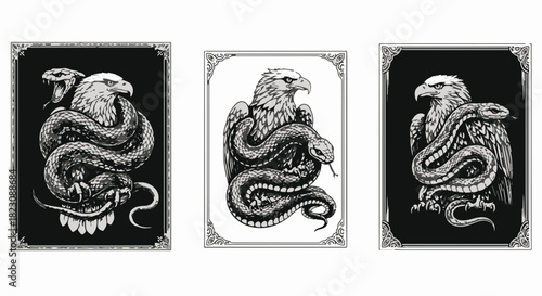 Three similar detailed black and white illustrations depicting an eagle entwined with a serpent. The eagle is perched atop the snake in a struggle, each with a decorative border.