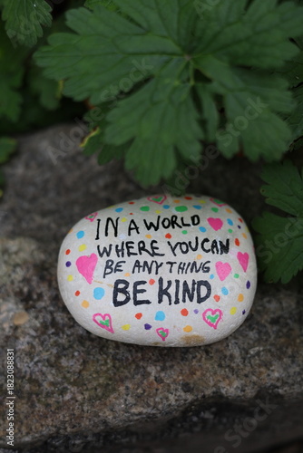 Be kind kindness rock on stone with green plant leaves vertical photo